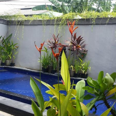Star Bali Guest House Canggu  Luaran gambar